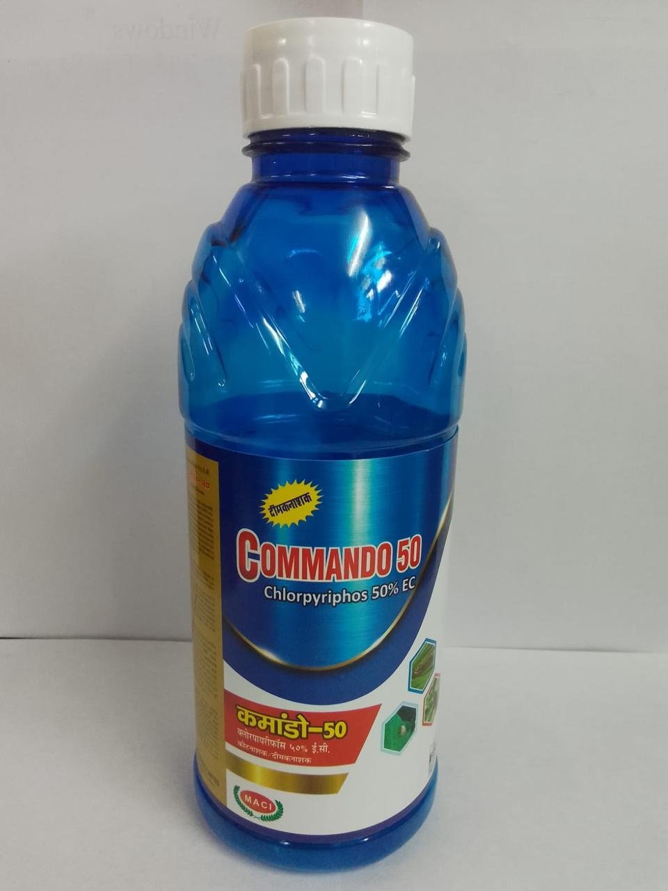 IMG-20241203-WA0050